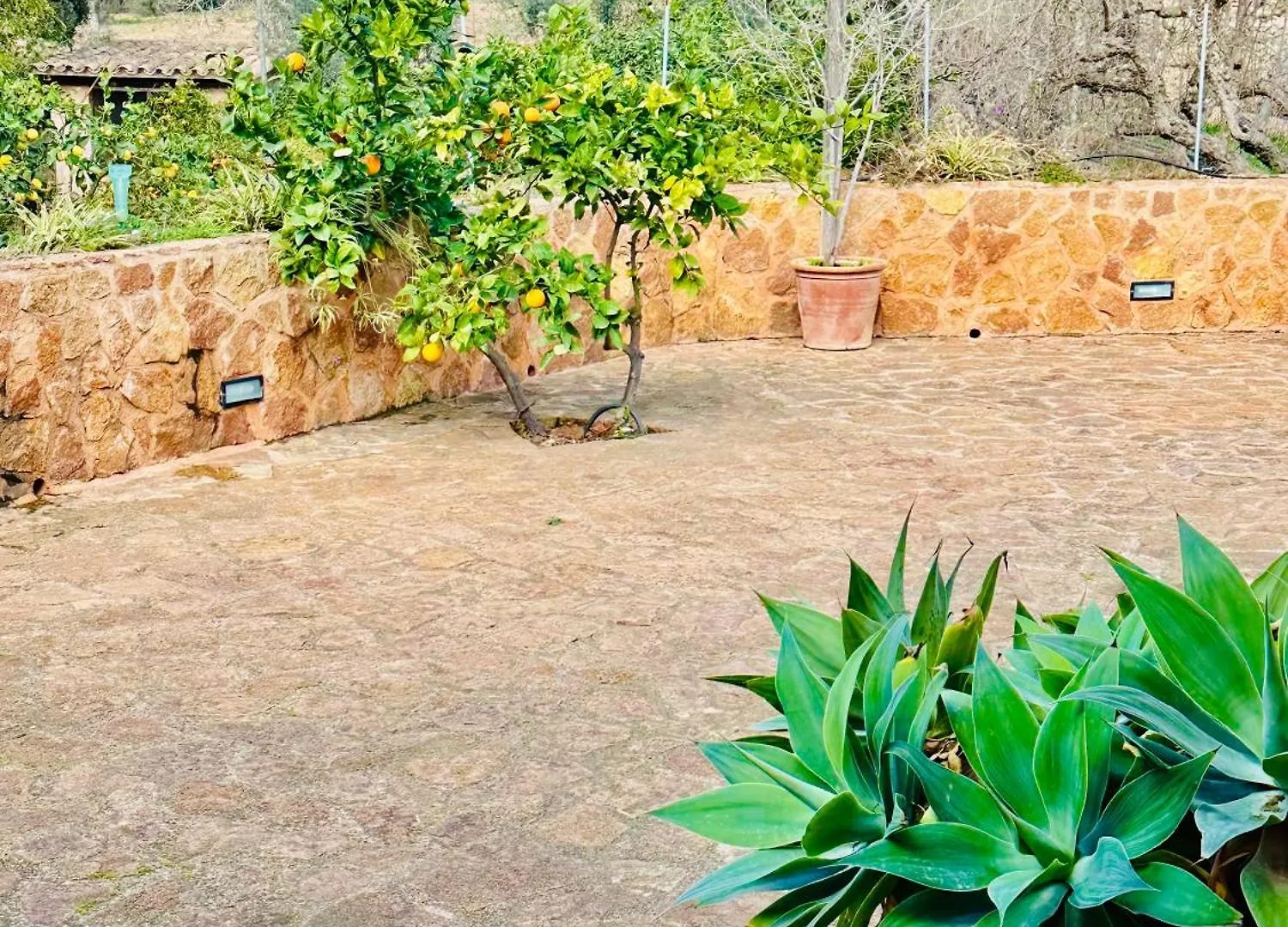 Holiday home Finca Ses Barraques Manacor